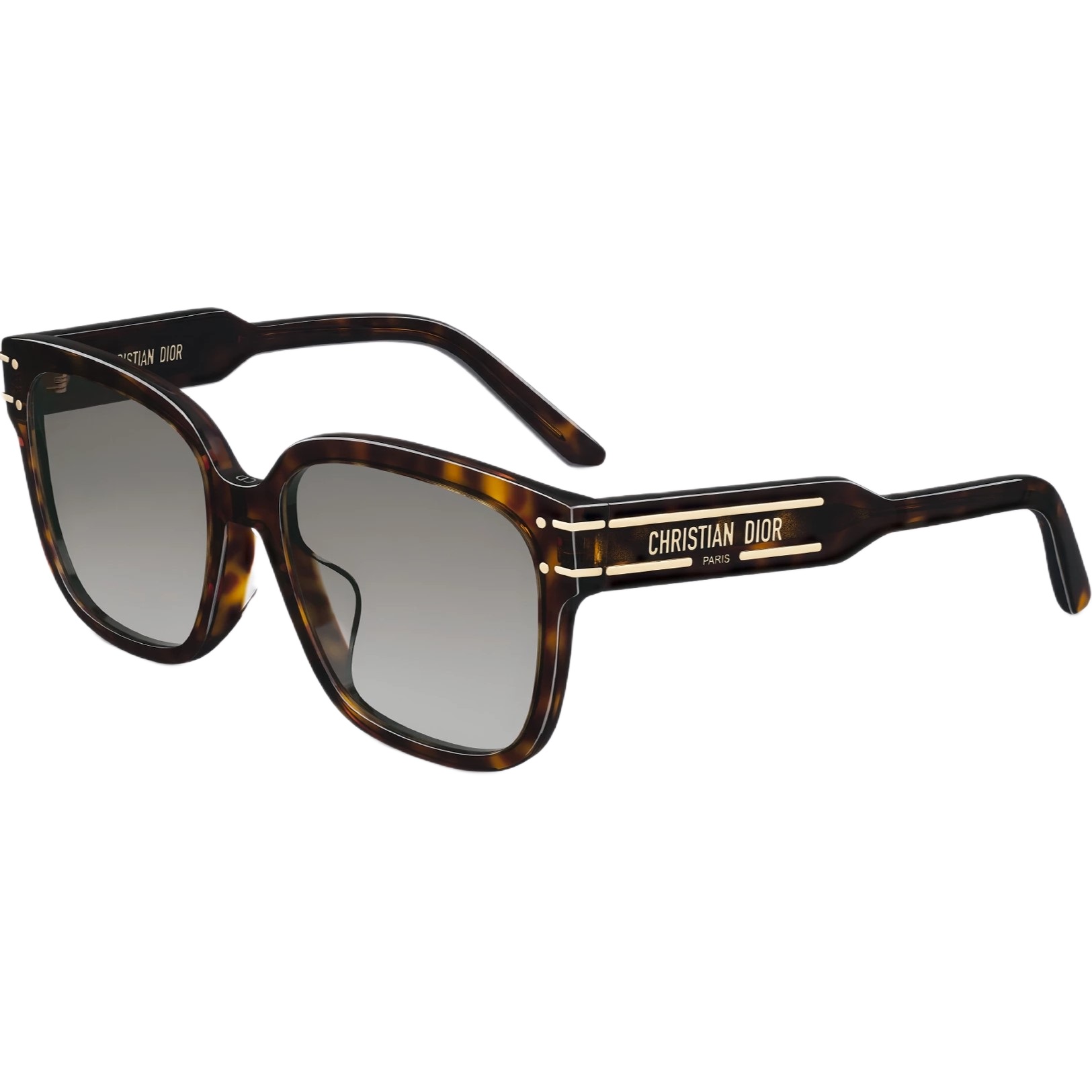 Kính Dior DiorSignature S7F Deep Brown Tortoiseshell-Effect Square Sunglasses 7