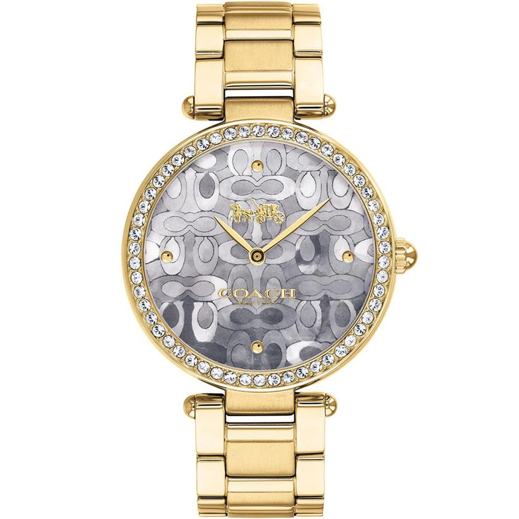 Đồng Hồ Coach Nữ Quartz 14503225 12