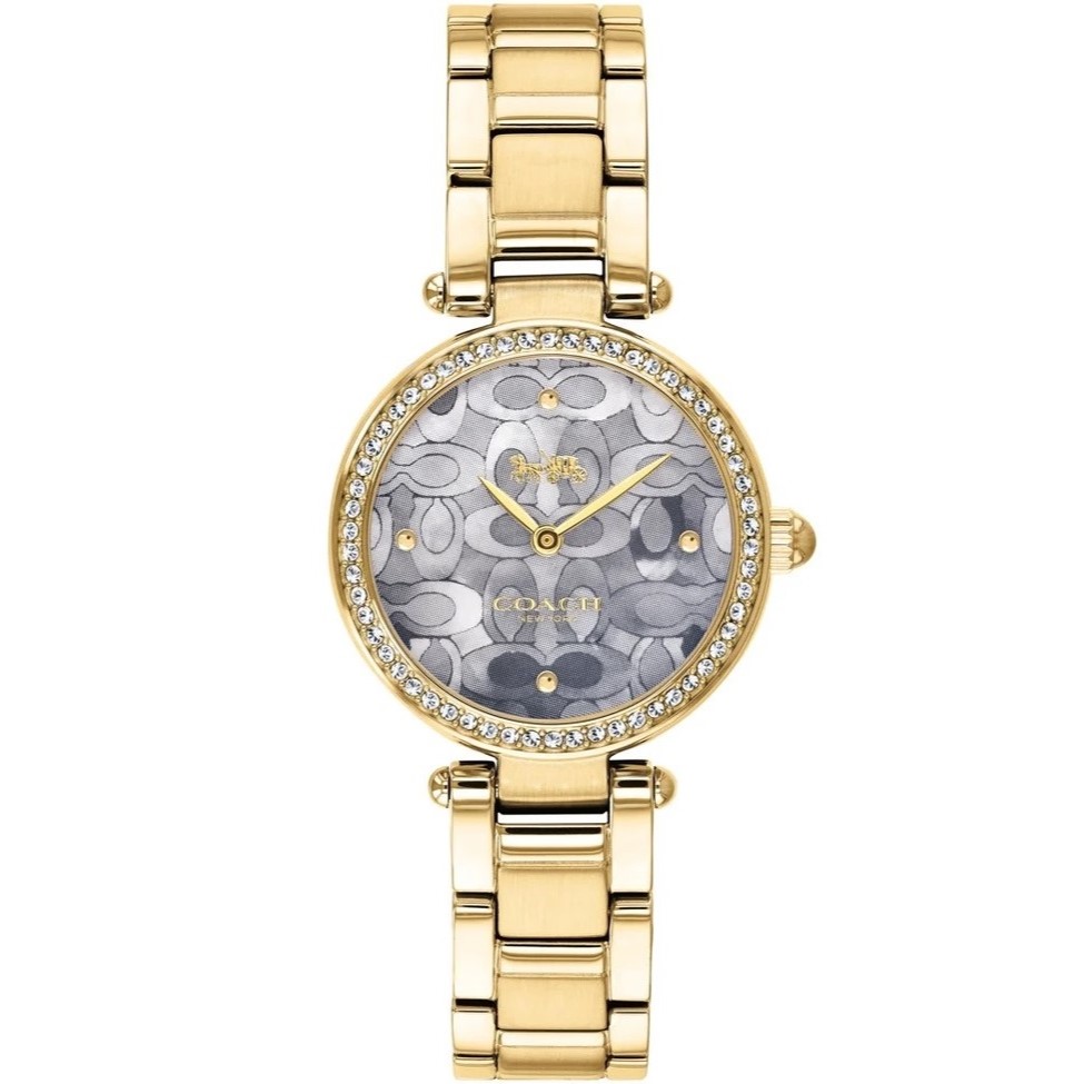 Đồng Hồ Coach Nữ Quartz 14503225 13