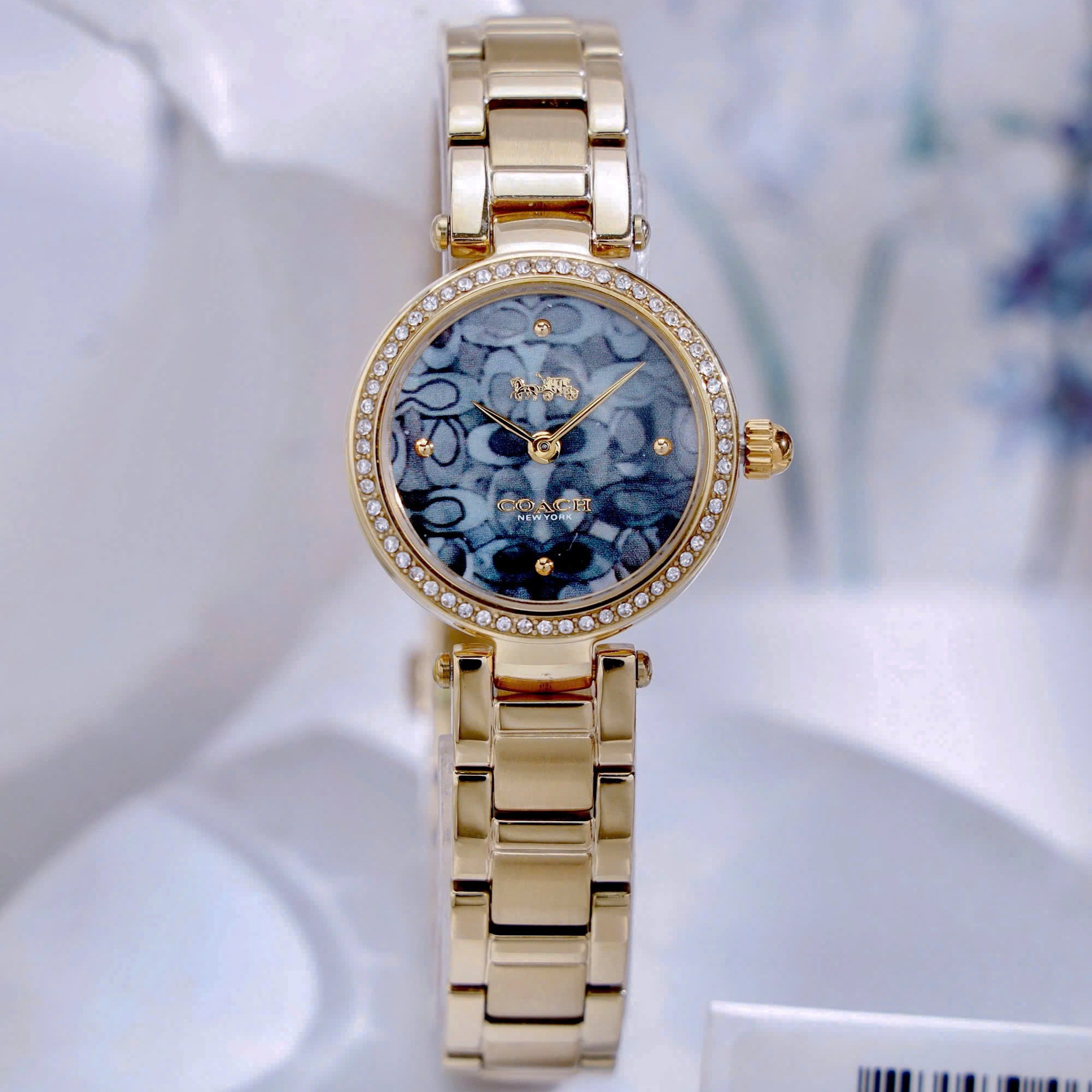 Đồng Hồ Coach Nữ Quartz 14503225 1