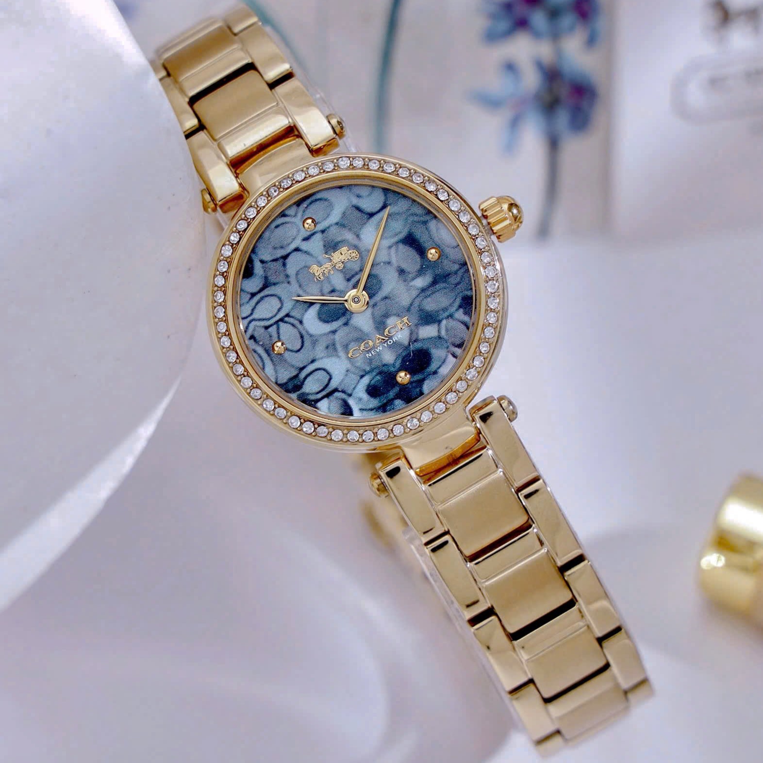 Đồng Hồ Coach Nữ Quartz 14503225 3