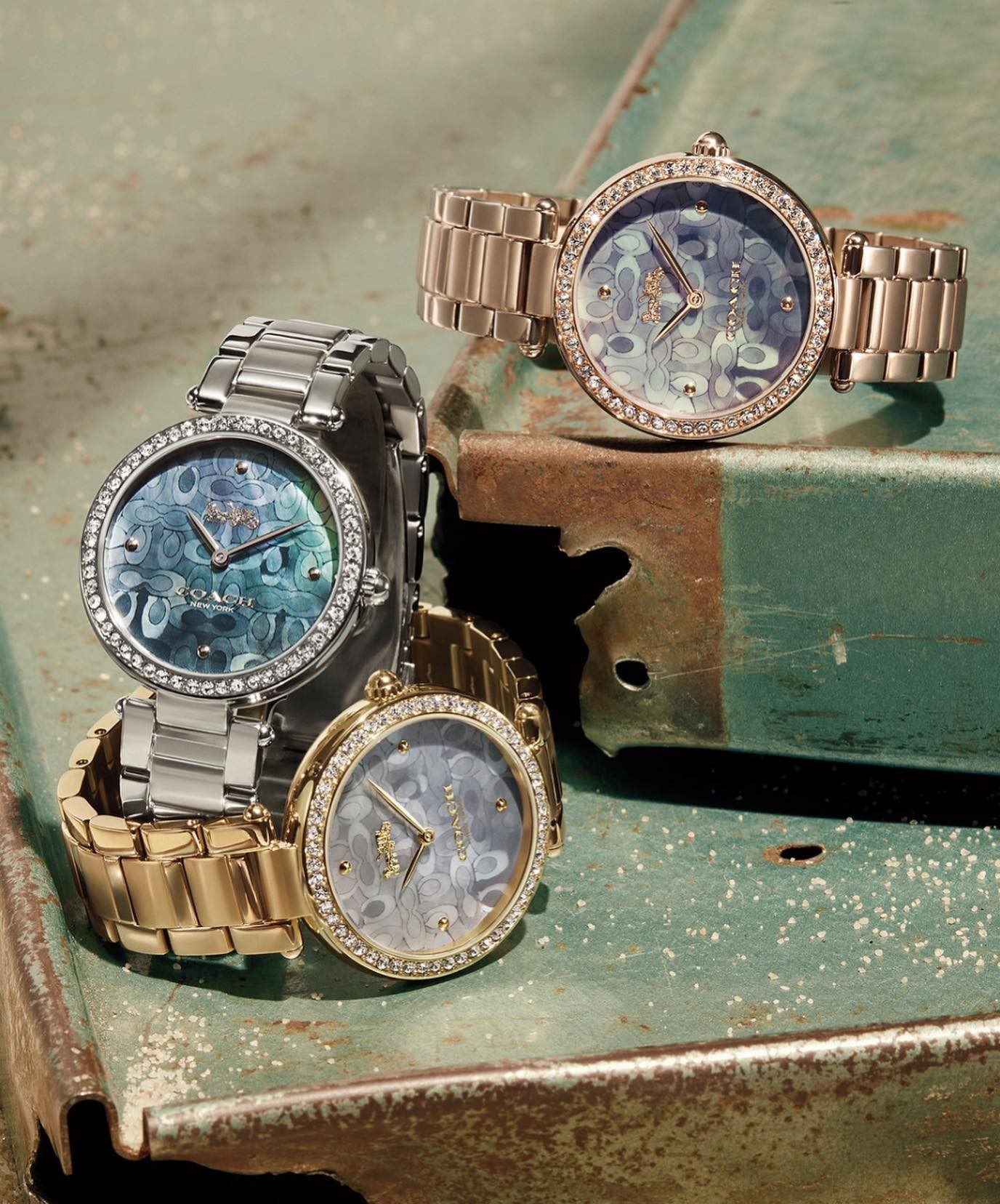 Đồng Hồ Coach Nữ Quartz 14503225 5