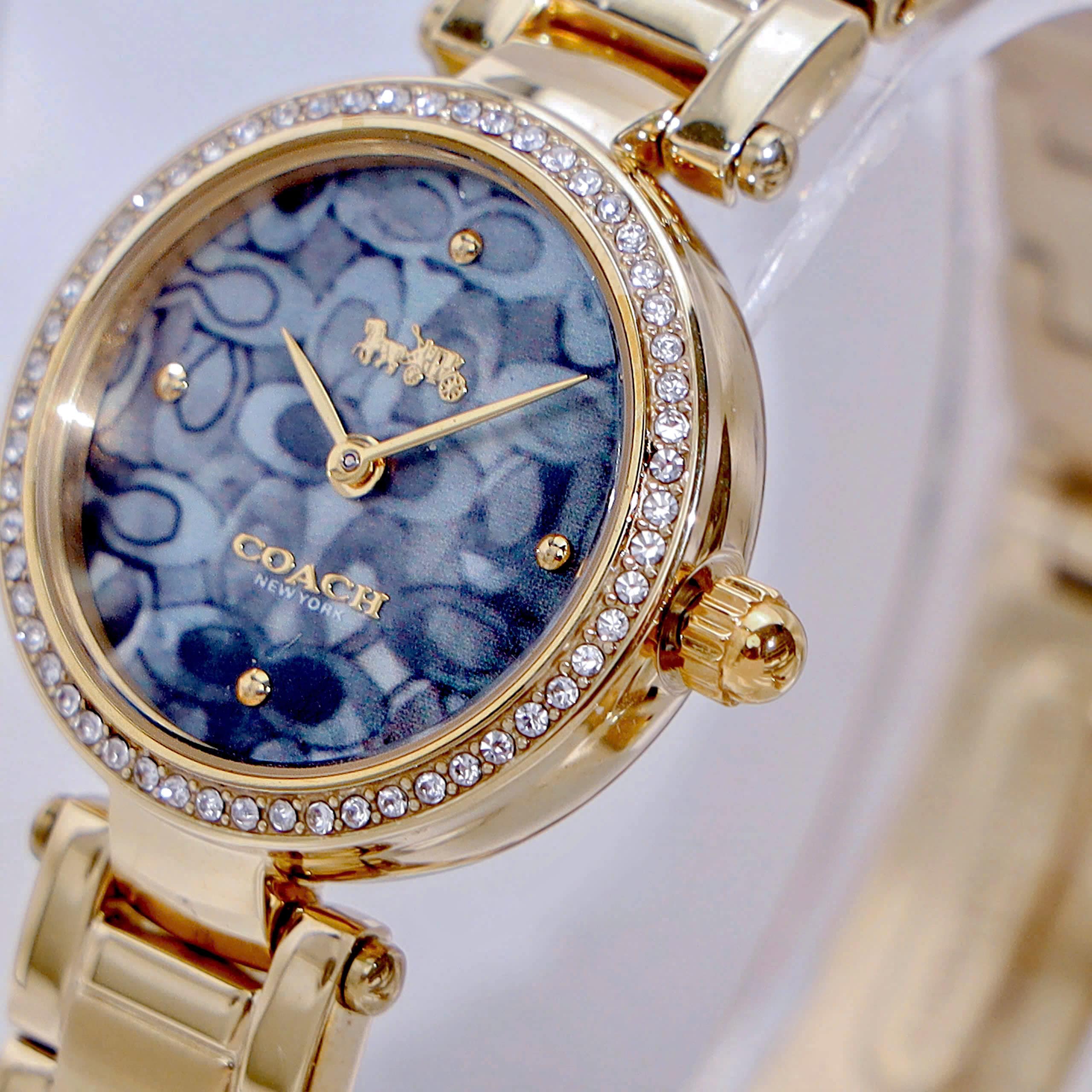 Đồng Hồ Coach Nữ Quartz 14503225 6
