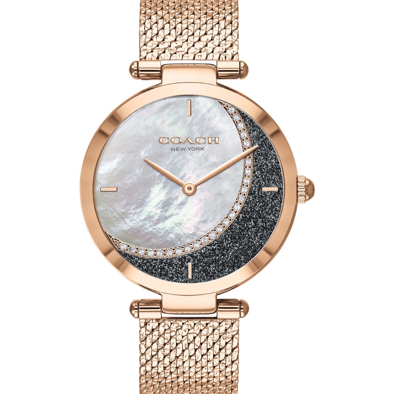 ĐỒNG HỒ NỮ COACH PARK ANALOG WATCH FOR WOMEN CO14503766W 1