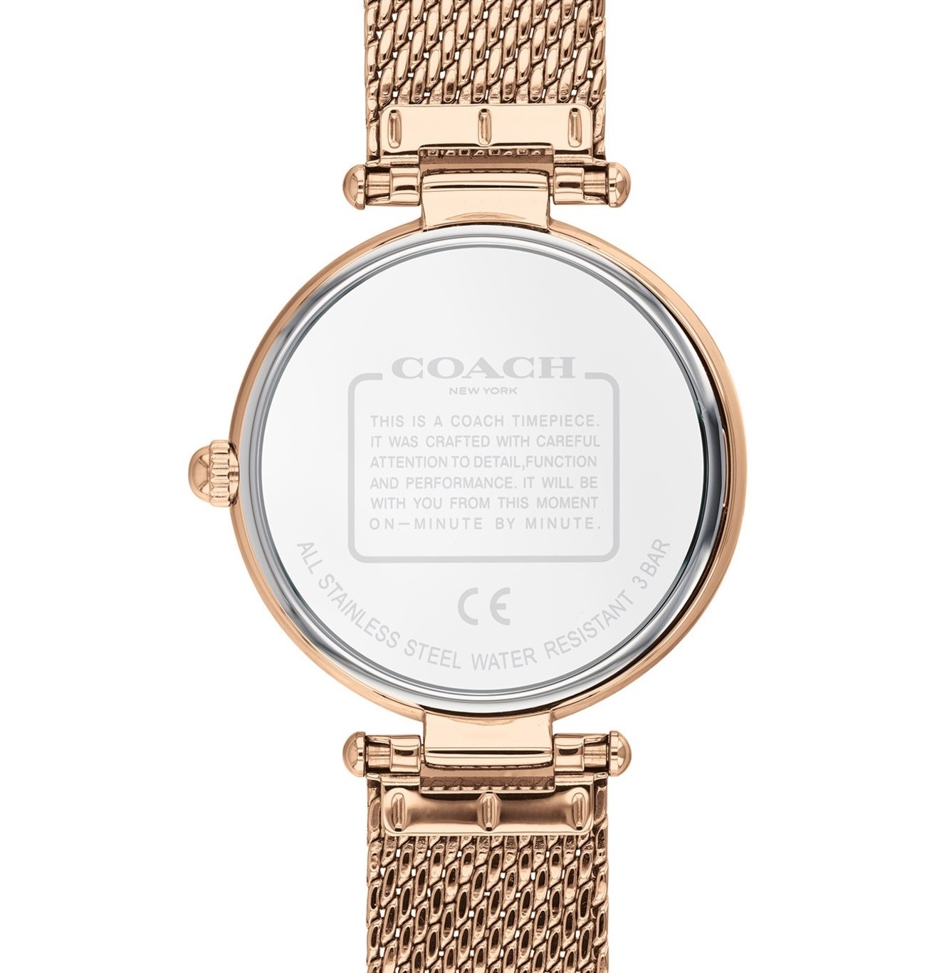 ĐỒNG HỒ NỮ COACH PARK ANALOG WATCH FOR WOMEN CO14503766W 2