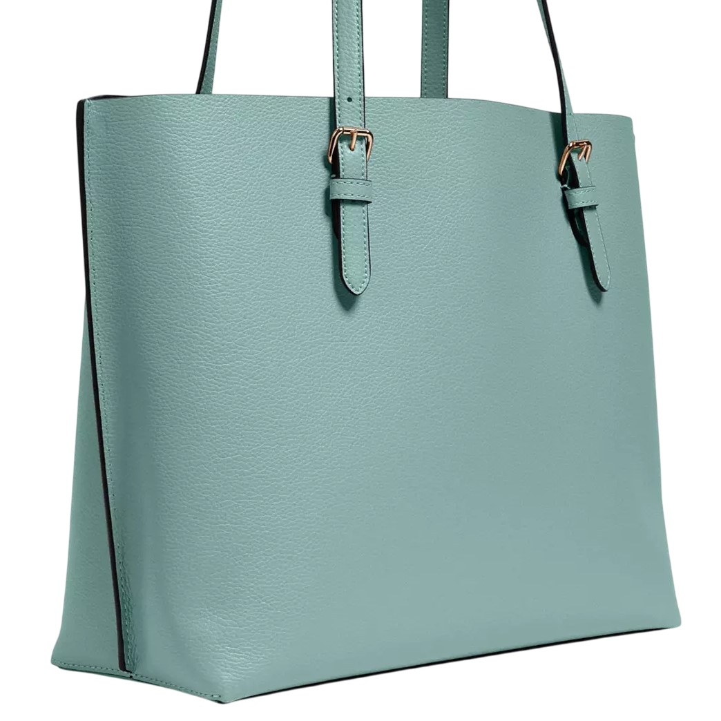 Túi Coach nữ Mollie Tote Bag Light Teal Silver 1671 1