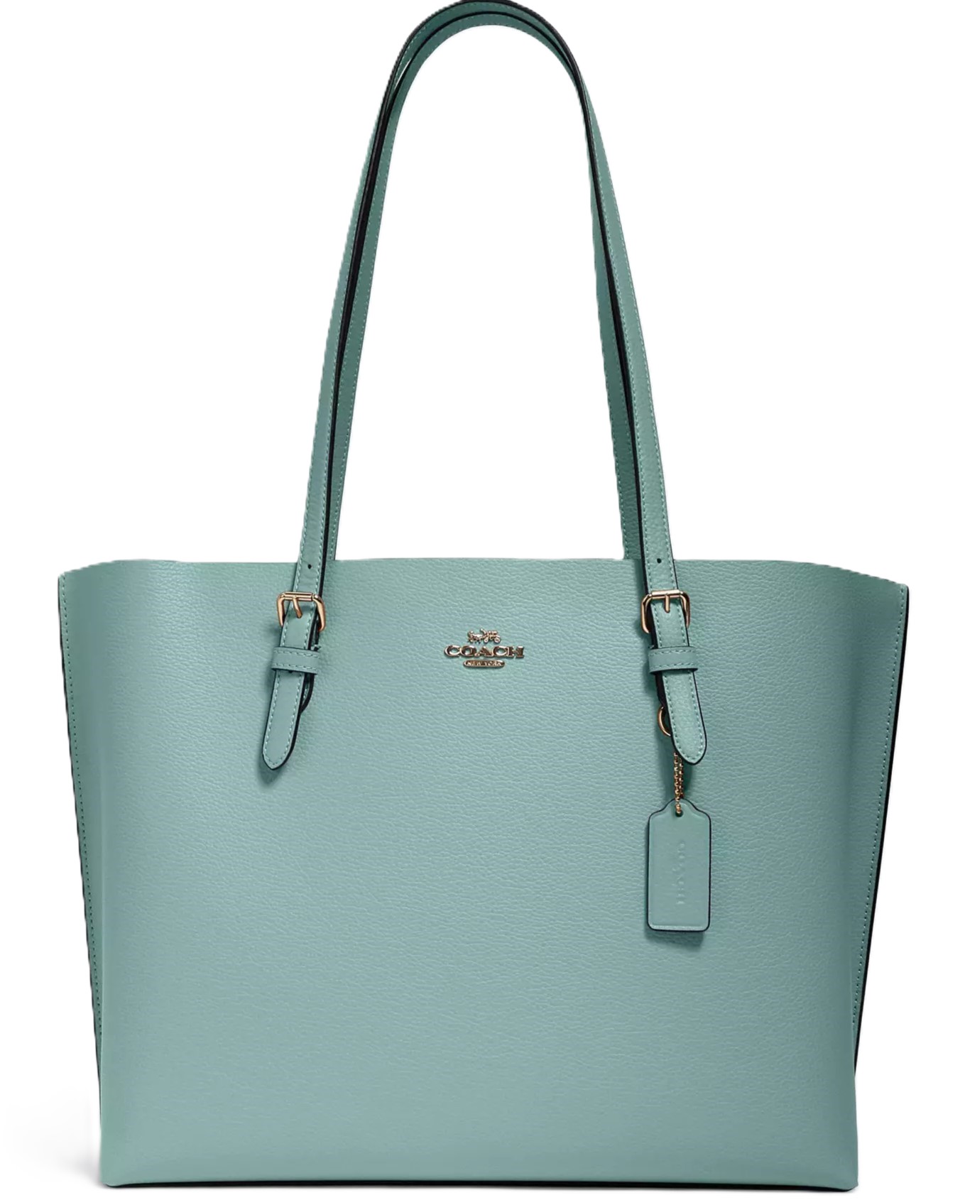 Túi Coach nữ Mollie Tote Bag Light Teal Silver 1671 5