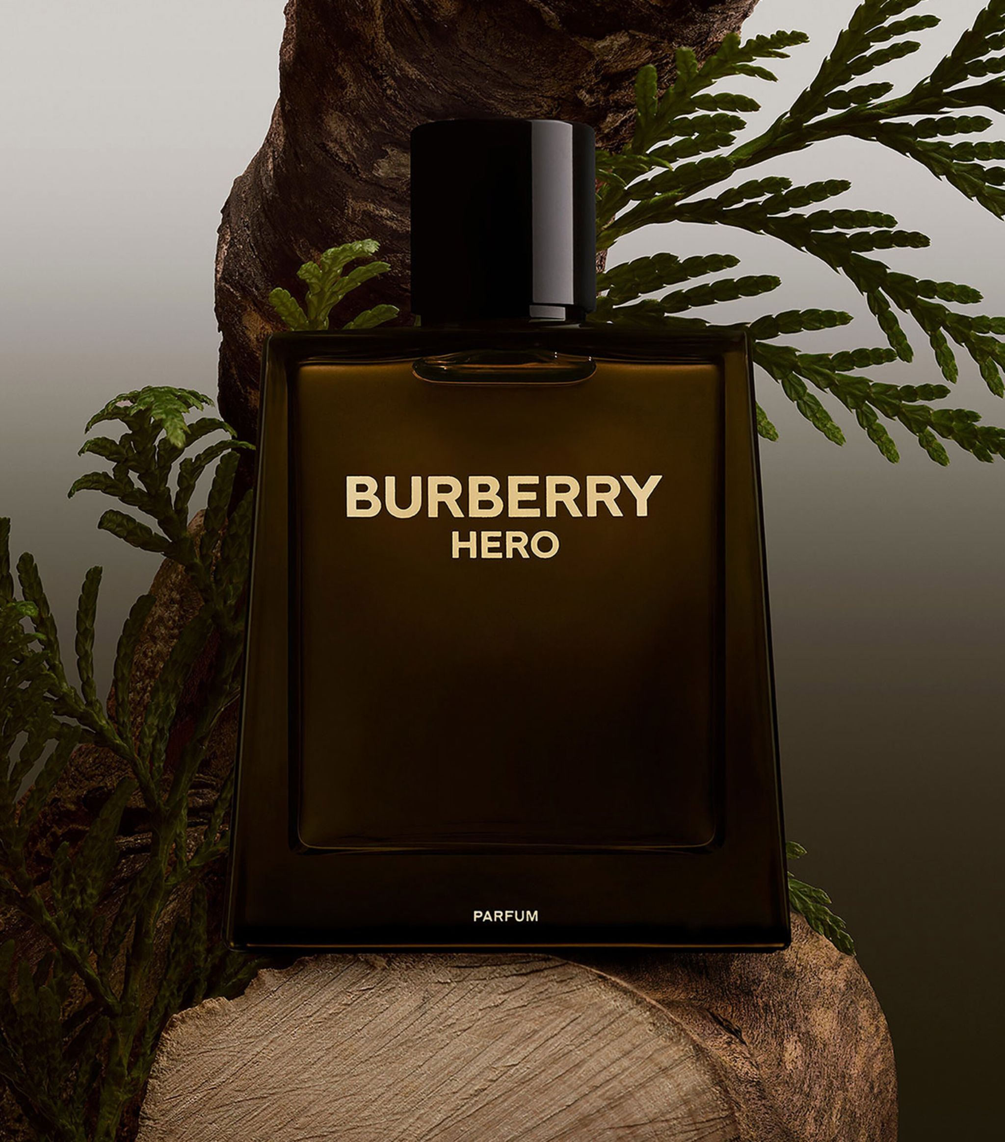Nước hoa Nam Burberry Hero Parfum 2
