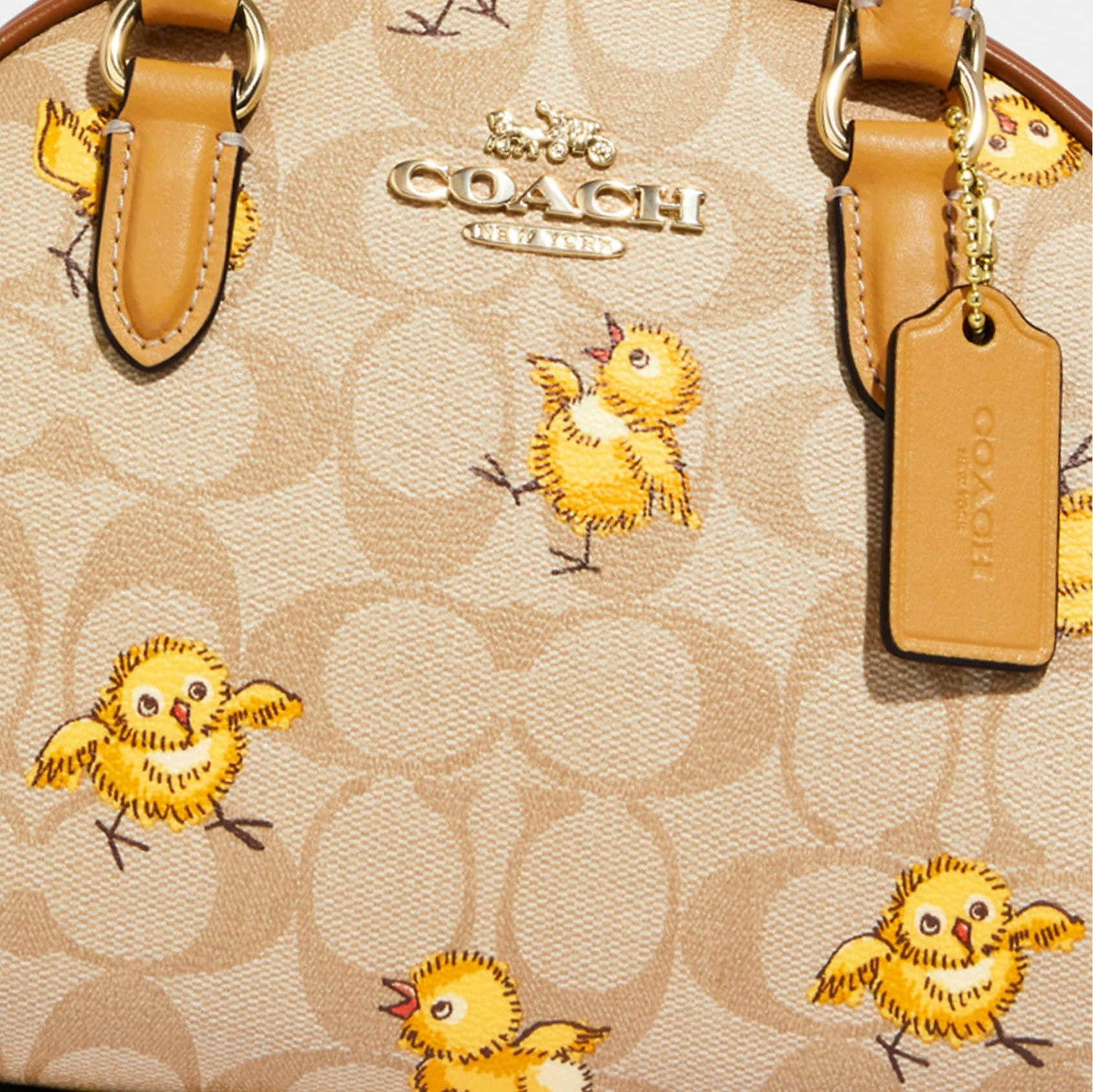 TÚI XÁCH COACH SYDNEY SATCHEL IN SIGNATURE CANVAS WITH TOSSED CHICK PRINT 1