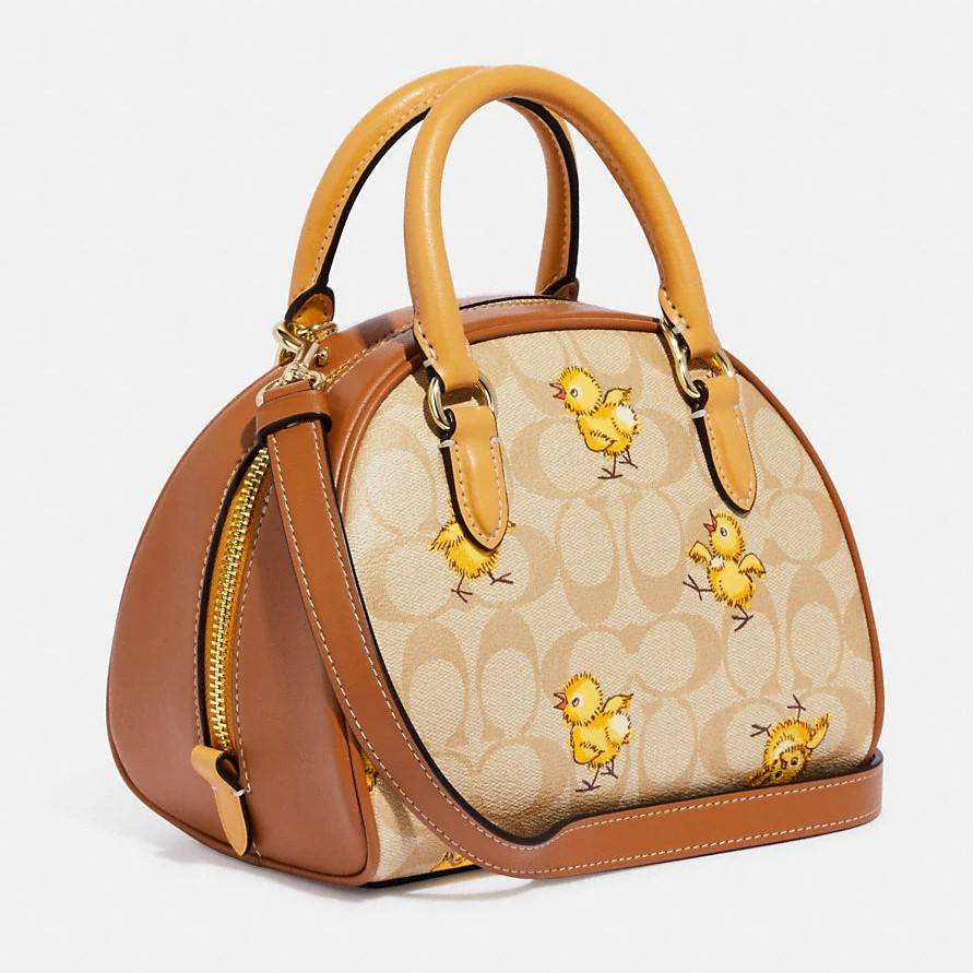 TÚI XÁCH COACH SYDNEY SATCHEL IN SIGNATURE CANVAS WITH TOSSED CHICK PRINT 2