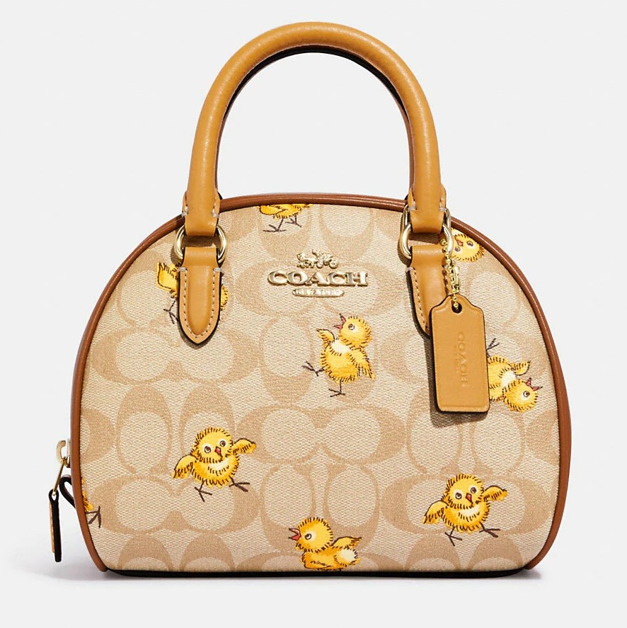 TÚI XÁCH COACH SYDNEY SATCHEL IN SIGNATURE CANVAS WITH TOSSED CHICK PRINT 6