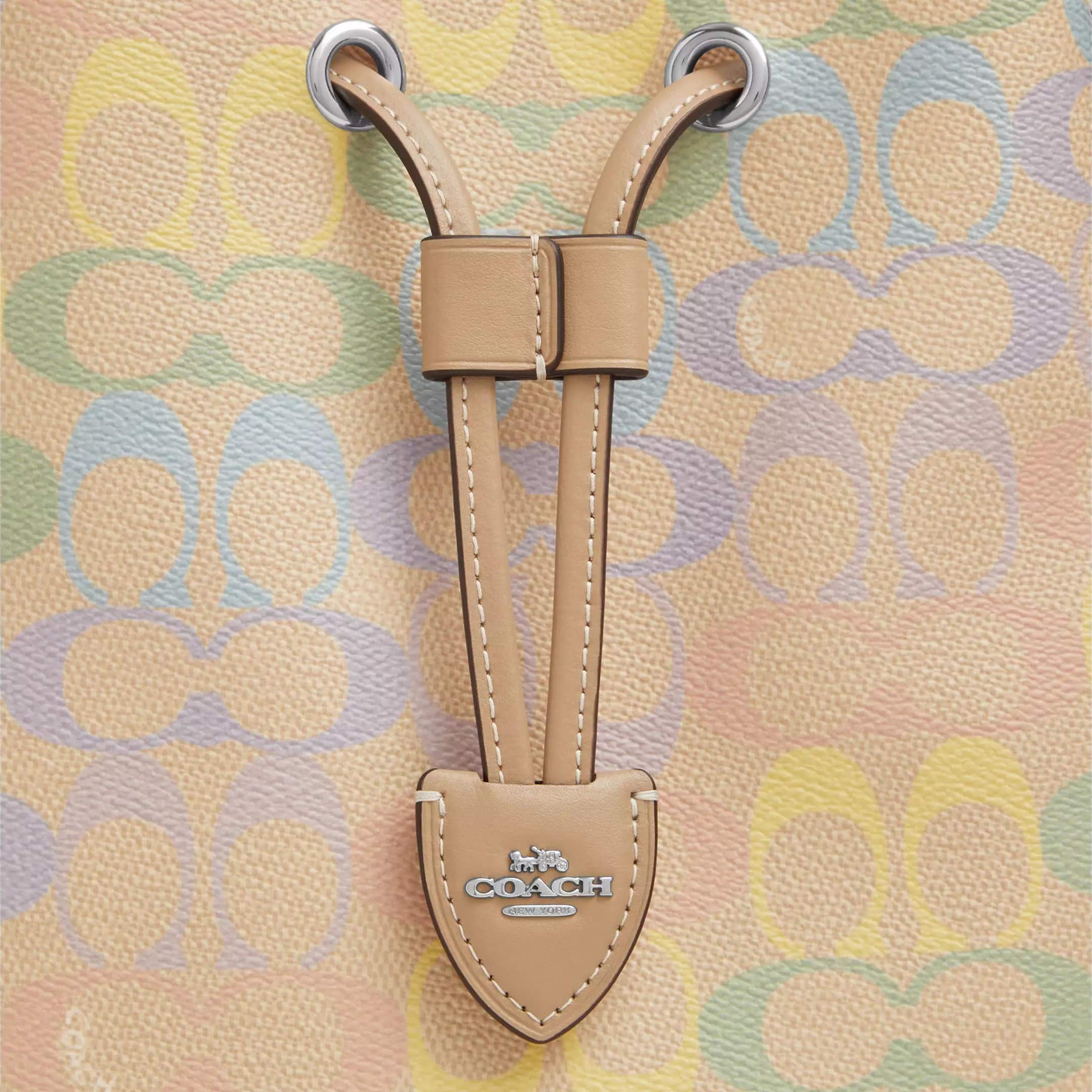 Túi Coach Rowan Bucket Bag In Rainbow Signature Canvas Sand Multi CDA92 1