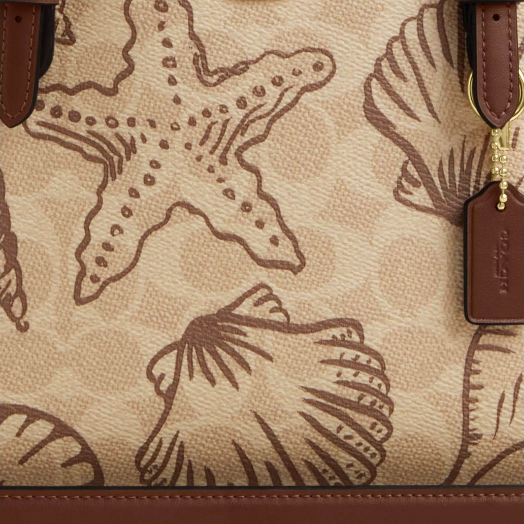 Túi Coach nữ Mollie Tote Bag 25 In Signature Canvas With Shell Print CBH63 3