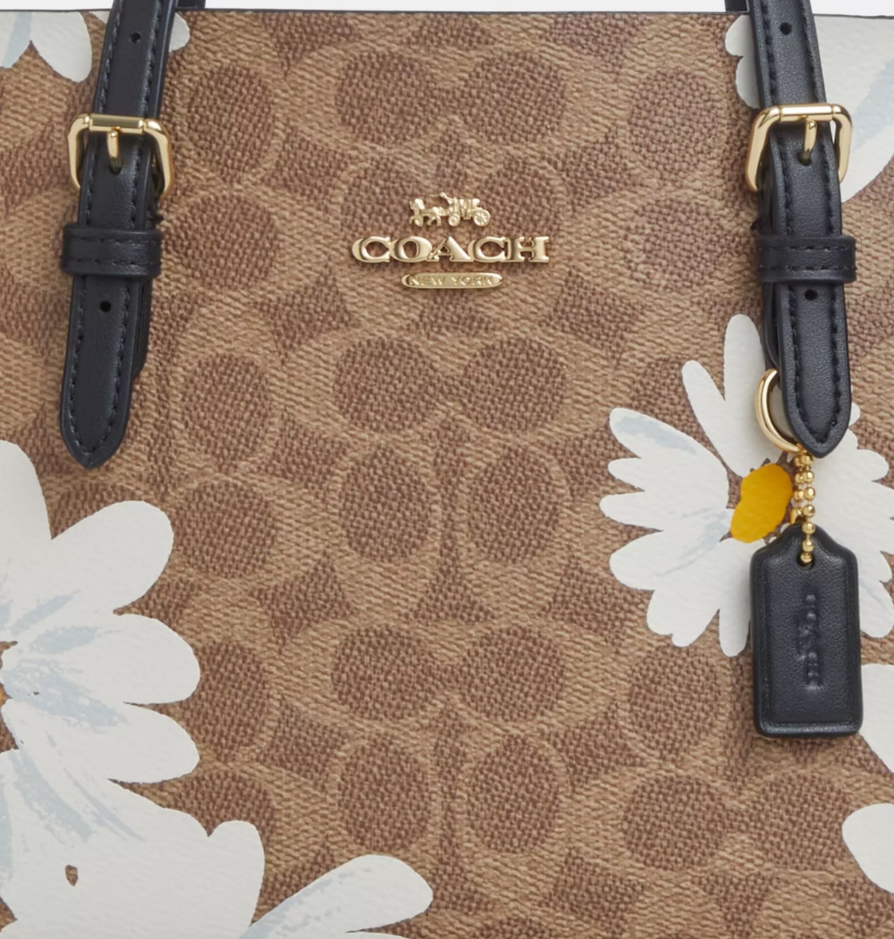 Túi Coach nữ Mollie Tote Bag 25 In Signature Canvas With Floral Print CZ592 2