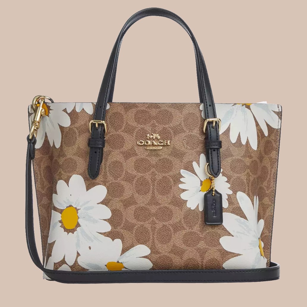 Túi Coach nữ Mollie Tote Bag 25 In Signature Canvas With Floral Print CZ592 3