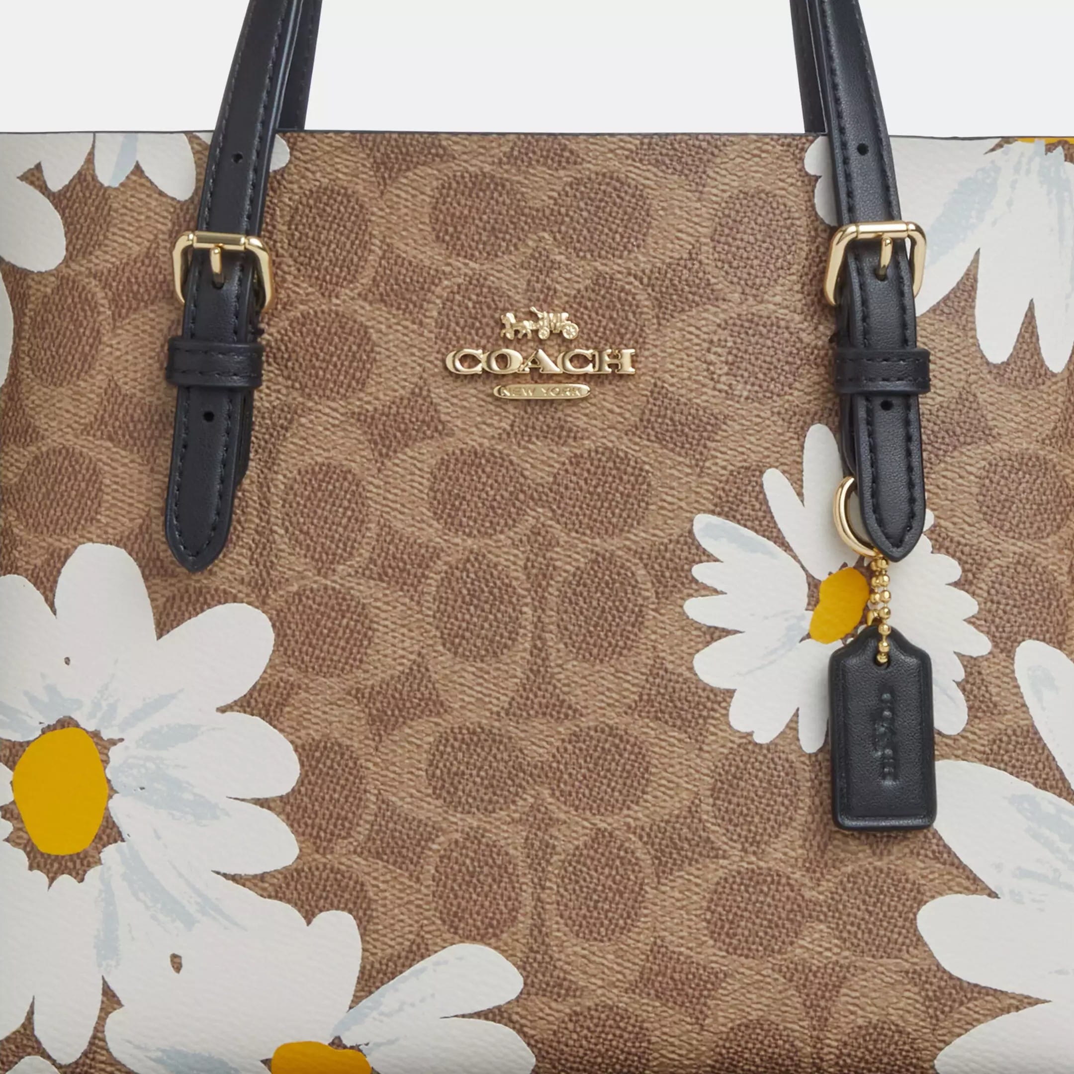 Túi Coach nữ Mollie Tote Bag 25 In Signature Canvas With Floral Print CZ592 6