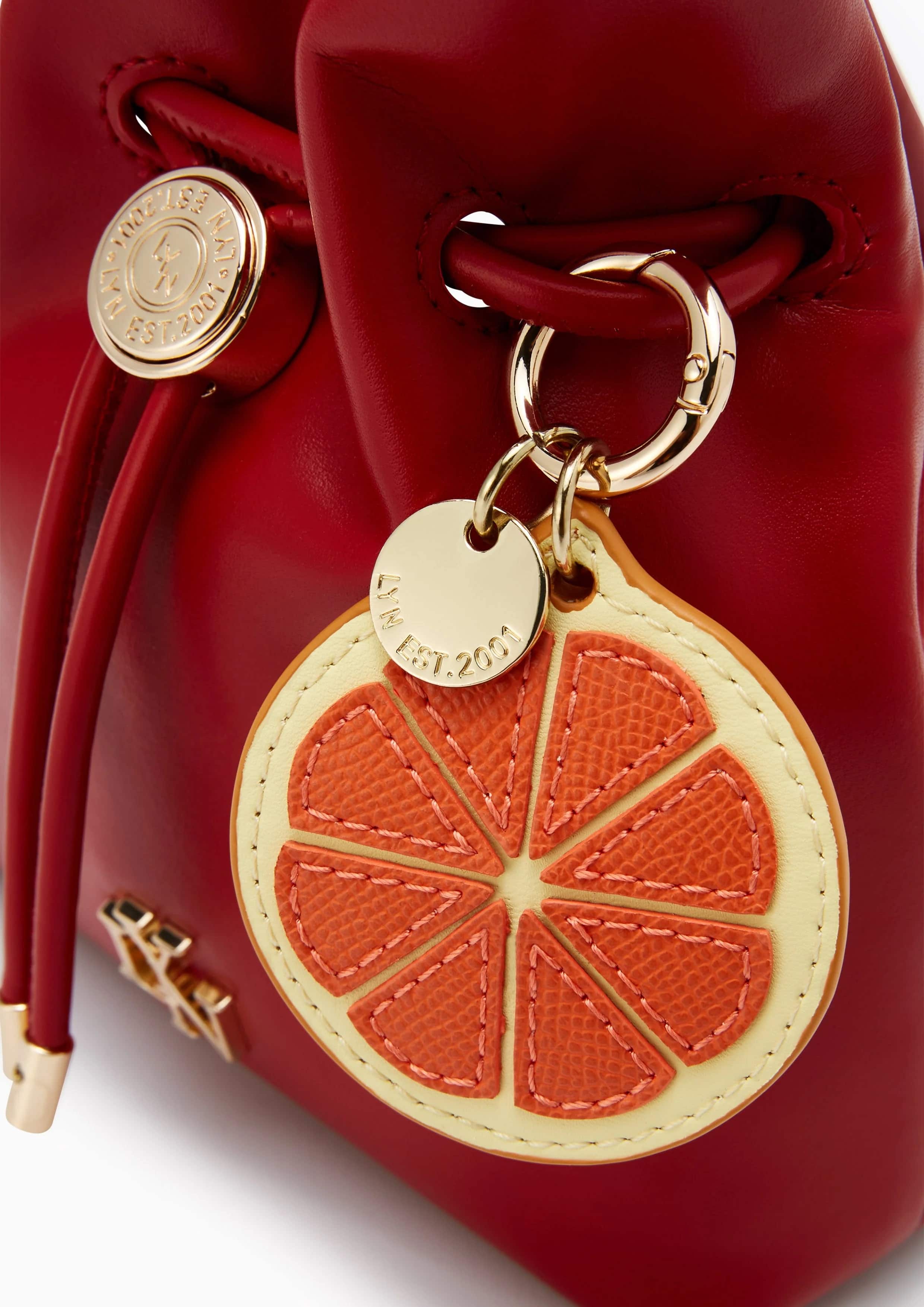 Túi xách nữ LYN Felix Cny Crossbody Pouch Red 5