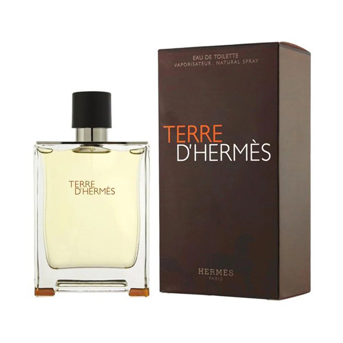 NƯỚC HOA NAM HERMES TERRE D HERMES EAU DE TOILETTE 4