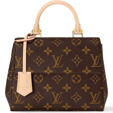 Túi Louis Vuitton Cluny Mini Monogram Canvas