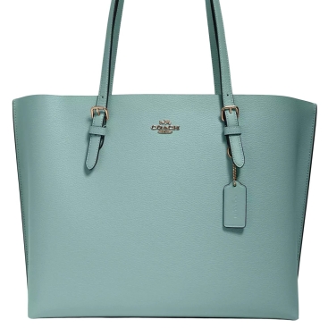Túi Coach nữ Mollie Tote Bag Light Teal Silver 1671