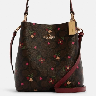 Túi xách nữ Coach Small Town Bucket Bag In Brown Multi Signature Canvas With Heart Petal Print
